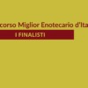 i finalisti del miglior enotecario d'Italia