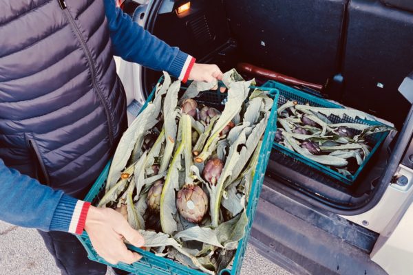 carciofi per carciofiamo_rossointenso